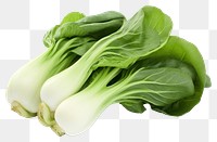 PNG Bok choy vegetable plant food. 