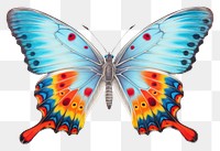 PNG Butterfly animal insect  