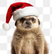 PNG Christmas animal character meerkat mammal pet. AI generated Image by rawpixel.