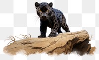 PNG Black panther wildlife leopard animal. 