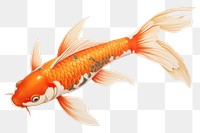 PNG Fish koi goldfish animal. 