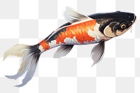 PNG Fish koi animal carp. 