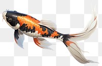 PNG Fish koi animal  