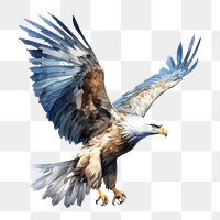 PNG Eagle drawing animal flying. AI generated Image by rawpixel.