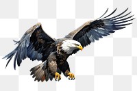 PNG Eagle animal flying bird. AI generated Image by rawpixel.