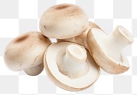 PNG Champignon mushrooms fungus white background agaricaceae. 