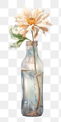 PNG Bottle flower glass plant. AI generated Image by rawpixel.