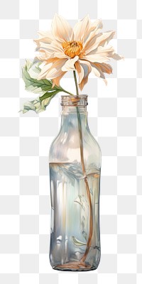 PNG Bottle flower glass plant. 