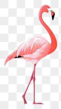 PNG Flamingo animal bird beak. AI generated Image by rawpixel.