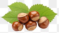 PNG Nut plant food white background. AI generated Image by rawpixel.