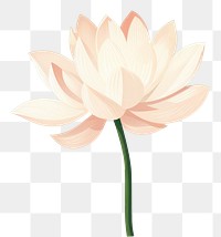 PNG Lotus flower plant green. AI generated Image by rawpixel.