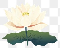 PNG Lotus leaf flower plant. 