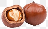 PNG Hazelnut vegetable plant food. AI generated Image by rawpixel.