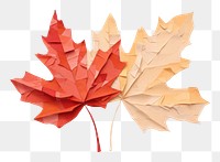 PNG Maple leaf autumn plant paper. 