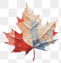 PNG Maple leaf paper creativity pattern. 