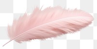 PNG  Feather white background lightweight accessories. 