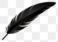 PNG Feather black white background lightweight. 