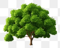 PNG Lush tree plant white background tranquility. 