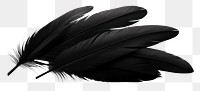 PNG  Feather black white background lightweight. 