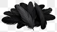 PNG Feather black white background lightweight. 