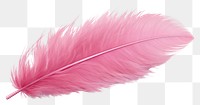 PNG  Feather pink white background lightweight. AI generated Image by rawpixel.
