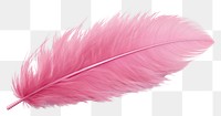 PNG Feather pink white background lightweight. 