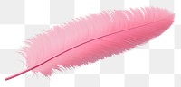 PNG Feather pink white background lightweight. 