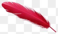 PNG  Feather red white background lightweight. 