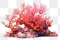PNG Marine life outdoors nature sea. AI generated Image by rawpixel.
