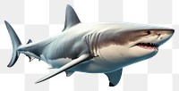 PNG Marine life shark animal fish. AI generated Image by rawpixel.