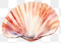 PNG Beach seashell seafood clam. AI generated Image by rawpixel.