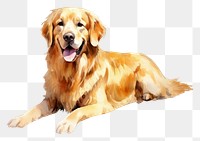 PNG Dog retriever animal mammal. 