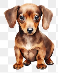 PNG Dog animal mammal hound. AI generated Image by rawpixel.