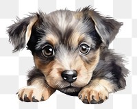 PNG Dog mammal animal puppy. AI generated Image by rawpixel.