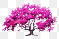 PNG Tree blossom flower purple. 