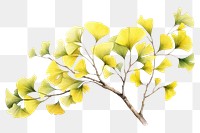 PNG Tree leaf yellow plant. 