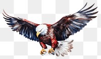 PNG Animal flying eagle bird. AI generated Image by rawpixel.