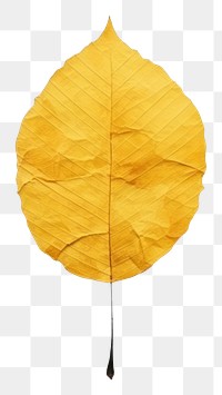PNG Yellow leaf plant fragility pattern. AI generated Image by rawpixel.