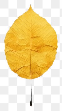 PNG Yellow leaf plant fragility pattern. 