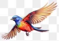 PNG Painted bunting flying bird drawing animal