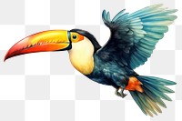 PNG Toco toucan flying bird animal beak. 