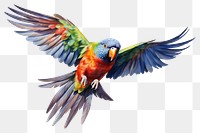 PNG Cute chunky rainbow lorikeet flying bird parrot animal. 