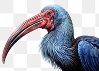 PNG Ibis drawing animal bird. 