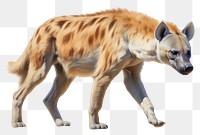 PNG Majestic hyena wildlife mammal animal. AI generated Image by rawpixel.