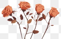 PNG Dried roses flower plant inflorescence. AI generated Image by rawpixel.