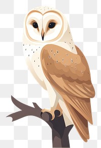 PNG Barn Owl owl wildlife animal. 