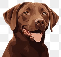 PNG Chocolate Labrador animal mammal dog. 