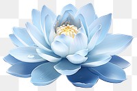 PNG  Blue lotus flower petal plant white