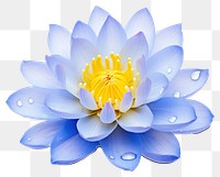 PNG  Blue water lily petal blossom flower. AI generated Image by rawpixel.