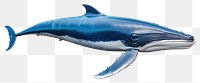 PNG Marine life whale animal mammal. 